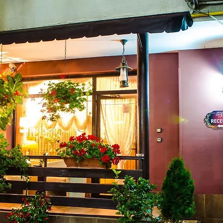 Pensión Hotel-pensiunea Zefir