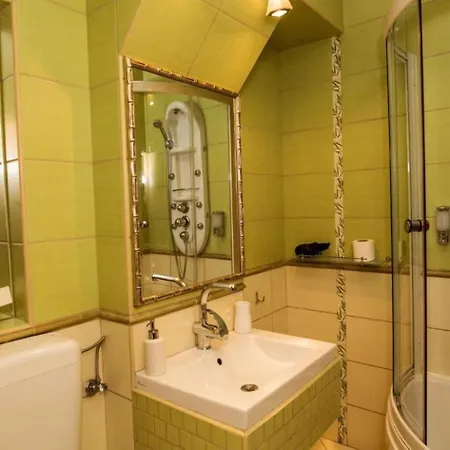 Hotel-pensiunea Zefir 4* 蒂米什瓦拉