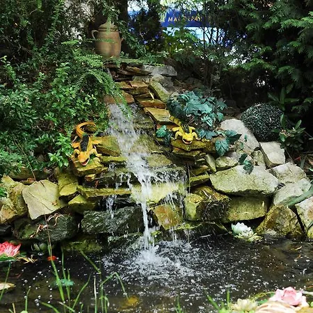 Hotel-pensiunea Zefir Pensión Timisoara