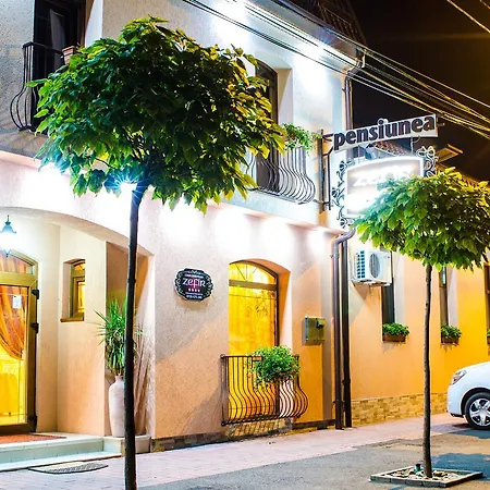 Hotel-pensiunea Zefir Pensjonat Timișoara