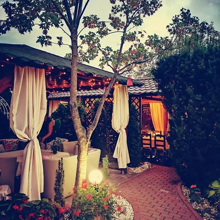 Hotel-pensiunea Zefir 4* تيميشورا