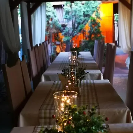 Hotel-pensiunea Zefir 4* Timisoara