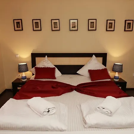 Pensjonat Hotel-pensiunea Zefir Timișoara