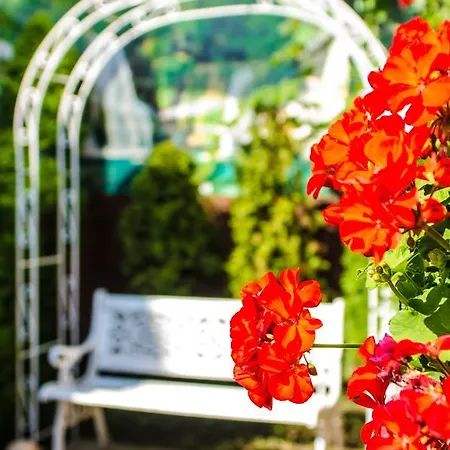 Πανσιόν Hotel-pensiunea Zefir Τιμισοάρα